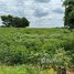  Land for sale in Ratanak Kiri, Saom Thum, Ou Ya Dav, Ratanak Kiri