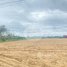 Land for sale in Kandal, S'ang Phnum, S'ang, Kandal