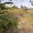  Land for sale in Angk Snuol, Kandal, Lumhach, Angk Snuol