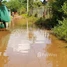  Land for sale in Sla Kram, Krong Siem Reap, Sla Kram
