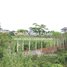  Land for sale in Siem Reap, Sala Kamreuk, Krong Siem Reap, Siem Reap