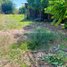  Land for sale in Choam Ksant, Preah Vihear, Sror Aem, Choam Ksant