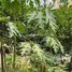  Land for sale in Russey Keo, Phnom Penh, Chrang Chamreh Ti Muoy, Russey Keo