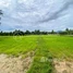  Land for sale in Kampong Chhnang, Longveaek, Kampong Tralach, Kampong Chhnang