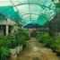 3 Bedroom Shophouse for sale in Kampot, L'ang, Dang Tong, Kampot
