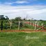  Land for sale in Banan, Battambang, Kantueu Pir, Banan