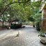 4 Bedroom Villa for sale in Wat Phnom, Voat Phnum, Phsar Thmei Ti Bei