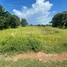  Land for sale in Pursat, Snam Preah, Bakan, Pursat