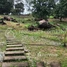  ដី for sale in កម្ពុជា, Preaek Tnoat, ទឹកឈូ, ខេត្តកំពត, កម្ពុជា