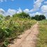  Land for sale in Lvea Aem, Kandal, Preaek Rey, Lvea Aem