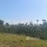  Land for sale in S'ang, Kandal, Prasat, S'ang