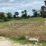  Land for sale in Kandal, Thmei, Kandal Stueng, Kandal
