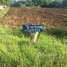 Studio Apartment for sale at Land For Sale, Sampov Lun, Sampov Lun, Battambang
