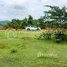 Land for sale in Saen Dei, Samraong Tong, Saen Dei