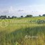  Land for sale in Kandal, Svay Romiet, Khsach Kandal, Kandal