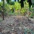  Land for sale in Saensokh, Phnom Penh, Phnom Penh Thmei, Saensokh