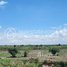  Land for sale in S'ang, Kandal, Preaek Koy, S'ang