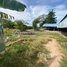 Studio Warehouse for sale in Kampong Speu, Trapeang Kong, Samraong Tong, Kampong Speu
