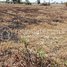  Land for sale in Angk Snuol, Kandal, Chhak Chheu Neang, Angk Snuol