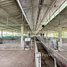 Studio Warehouse for sale in Kampong Speu, Traeng Trayueng, Phnum Sruoch, Kampong Speu