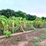  ដី for sale in ឃុំអរិយក្សត្រ, ល្វាឯម, ឃុំអរិយក្សត្រ