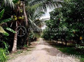  Land for sale in Cambodia, Chaong Maong, Tuek Phos, Kampong Chhnang, Cambodia