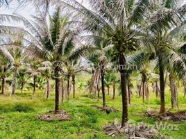  Land for sale in Kampot, Trapeang Phleang, Chhuk, Kampot