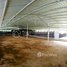 Studio Warehouse for sale in Kampong Speu, Basedth, Basedth, Kampong Speu