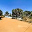 2 Bedroom House for sale in Kampong Speu, Roleang Chak, Samraong Tong, Kampong Speu