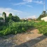  Land for sale in Chbar Ampov, Phnom Penh, Veal Sbov, Chbar Ampov