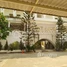 Studio Hotel for sale in Kampot, Kampong Kandal, Kampot, Kampot