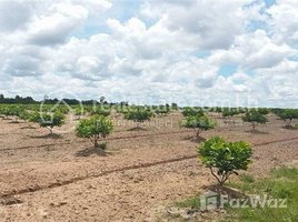  Land for sale in Cambodia, Tbaeng, Kampong Svay, Kampong Thom, Cambodia