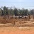  Land for sale in Stung Treng, Srae Sambour, Siem Pang, Stung Treng
