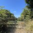  Land for sale in Stung Treng, Srah Ruessei, Stueng Traeng, Stung Treng
