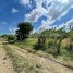  Land for sale in Phnum Proek, Battambang, Ou Rumduol, Phnum Proek