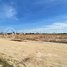  Land for sale in Kandal Stueng, Kandal, Kouk Trab, Kandal Stueng