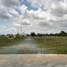  Land for sale in Kampong Speu, Srang, Kong Pisei, Kampong Speu