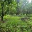  Land for sale in Ratanak Kiri, Trapeang Chres, Koun Mom, Ratanak Kiri