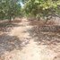  Land for sale in Kratie, Svay Chreah, Snuol, Kratie