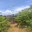  Land for sale in Pursat, Pramaoy, Veal Veaeng, Pursat
