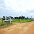  ដី for sale in ឃុំ​ព្រៃពួច, អង្គស្នួល, ឃុំ​ព្រៃពួច