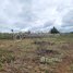  Land for sale in Mondul Kiri, Srae Ampum, Pech Chreada, Mondul Kiri