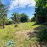  Land for sale in Choam Ksant, Preah Vihear, Sror Aem, Choam Ksant