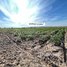  Land for sale in Kratie, Damrei Phong, Chhloung, Kratie