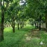  Land for sale in Kandal, Samraong Thum, Kien Svay, Kandal