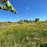  Land for sale in Choam Ksant, Preah Vihear, Sror Aem, Choam Ksant