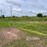  Land for sale in Prey Veng, Prey Khla, Svay Antor, Prey Veng