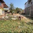  Land for sale in Lvea Aem, Kandal, Peam Oknha Ong, Lvea Aem