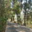  Land for sale in S'ang, Kandal, Preaek Koy, S'ang