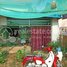 3 Bedroom House for sale in Soutr Nikom, Siem Reap, Dam Daek, Soutr Nikom